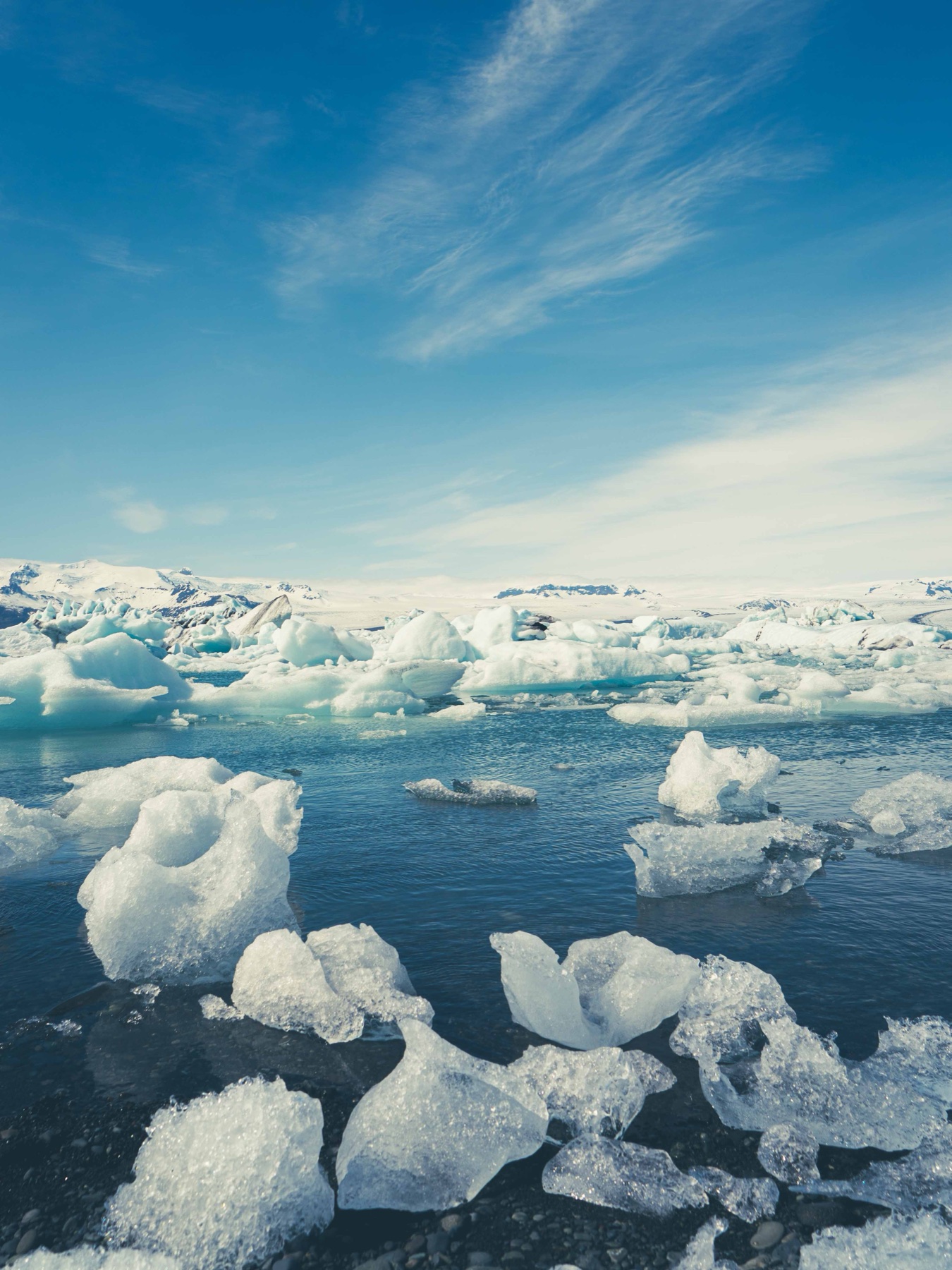 Blue ice scattered across a quiet glacier lagoon