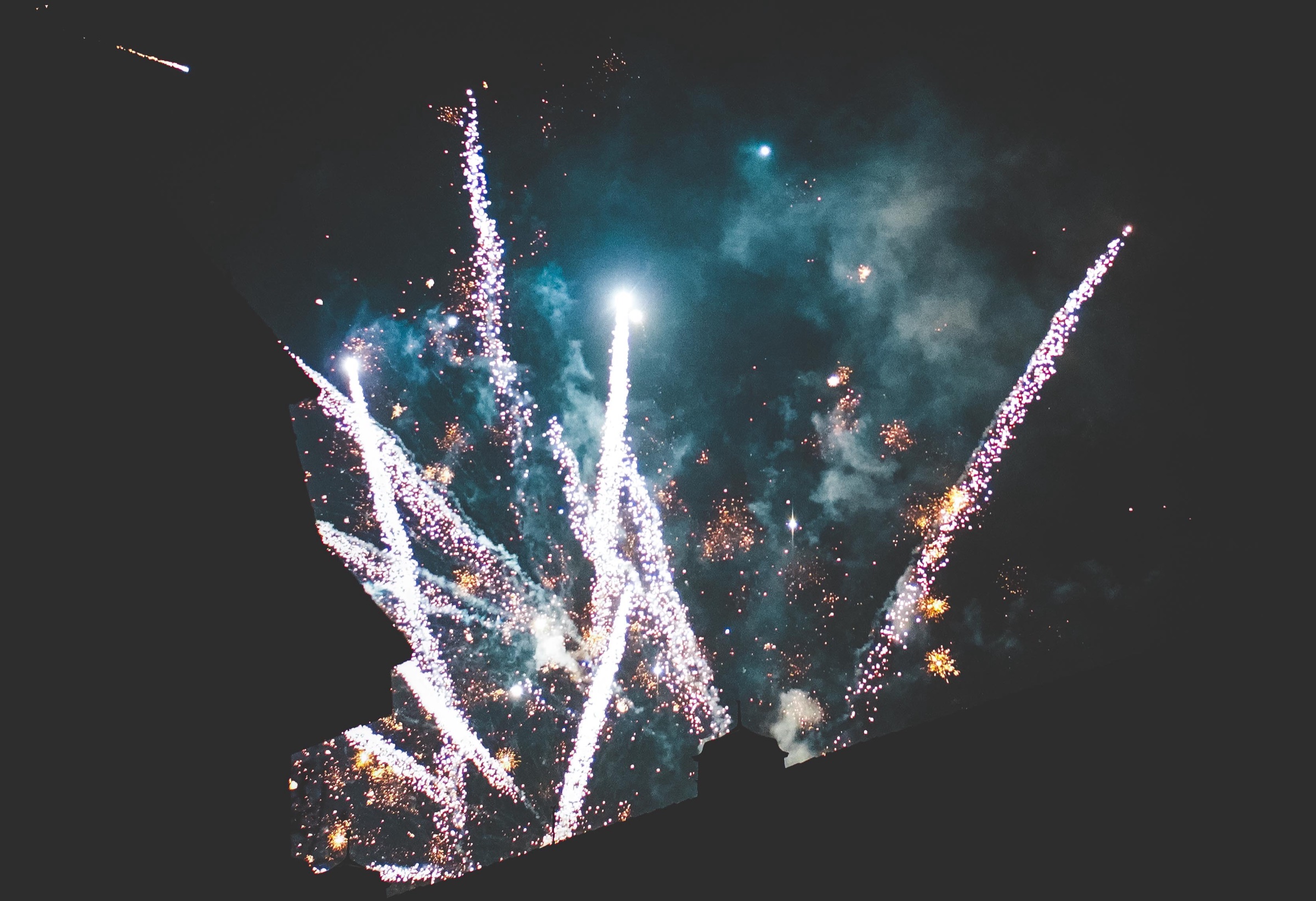 Fireworks opening like bright branches against the night sky